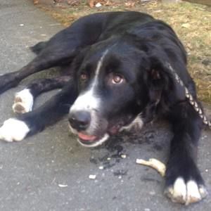 Meet your Posher, Braydan